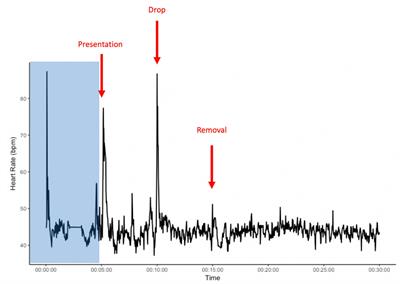 Testing for Behavioral and Physiological Responses of Domestic Horses (Equus caballus) Across Different Contexts – Consistency Over Time and Effects of Context